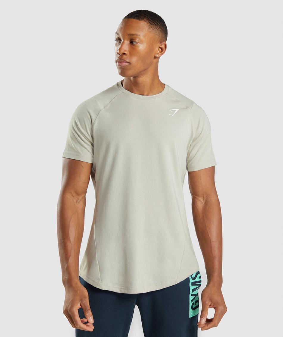 Gymshark Bold Muške T Shirts Sive | HR 2405WNB